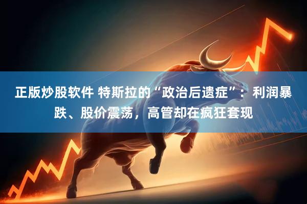 正版炒股软件 特斯拉的“政治后遗症”：利润暴跌、股价震荡，高管却在疯狂套现
