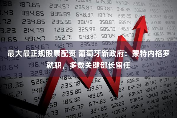 最大最正规股票配资 葡萄牙新政府：蒙特内格罗就职，多数关键部长留任